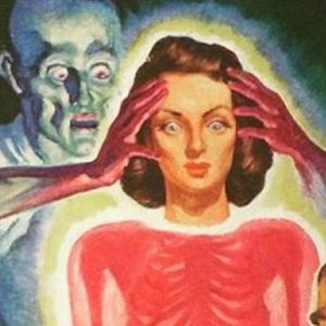 🍄🍄🍄🍄🍄🍄🍄🍄